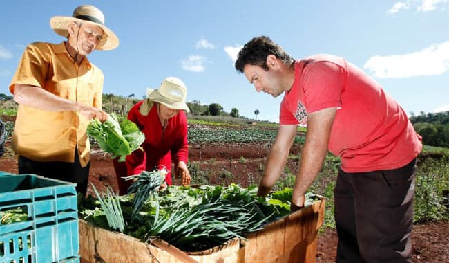 Veja 7 dicas sobre como escolher o melhor fornecedor de alimentos para o seu negócio
