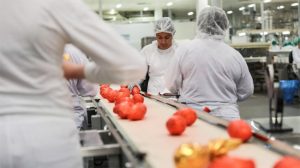 Ilustração para o post "A temporada de páscoa chega ao fim para nós — o que aprendemos com a páscoa de 2018"